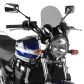 A210 - Givi Universal Screen smoked 36,5 x 35 cm