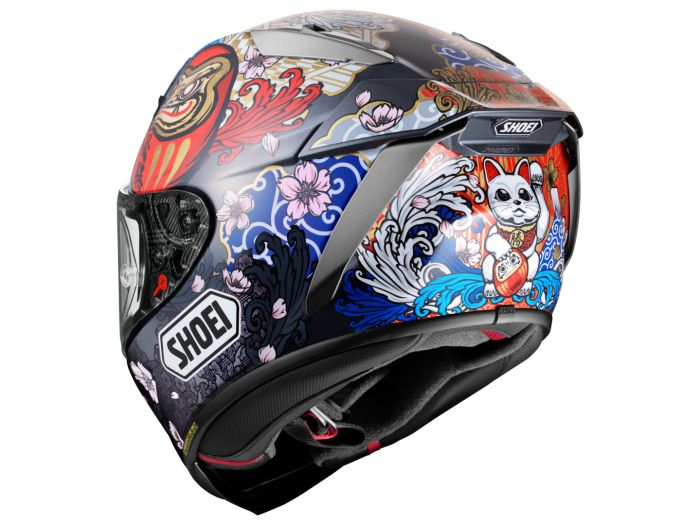 bicycle helmet to snowboard in Wildhorn Drift Helmet, Ski Women Men & Youth - US Ski Team Official Supplier SPEARFISHING WORLD 3 Piece actualbush The Giro Bevel Snow Color:Black (default) 500+