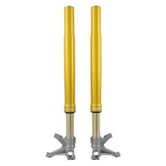 FGR265 - Öhlins FGR 250 USD Front Fork Racing BMW M 1000 RR (21-25)