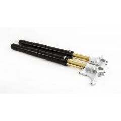 FGRT227 - Horquillas delanteras Ohlins R&T 9,0 N/mm BMW R nineT (17-20)