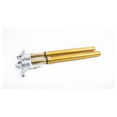 FGRT245 - Öhlins FGRT Upside Down Front Fork Road & Track Yamaha YZF-R1 Race